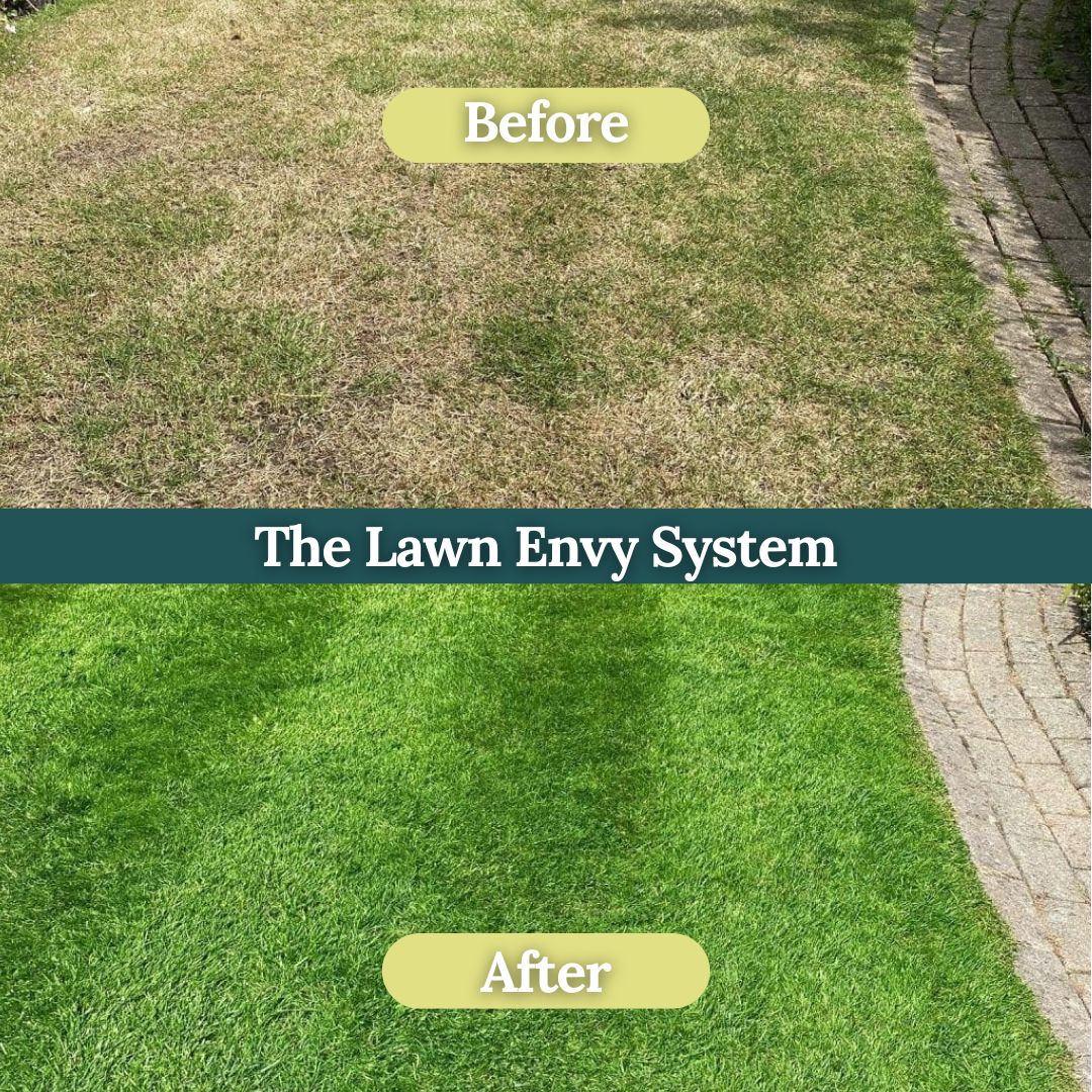 The Lawn Envy System