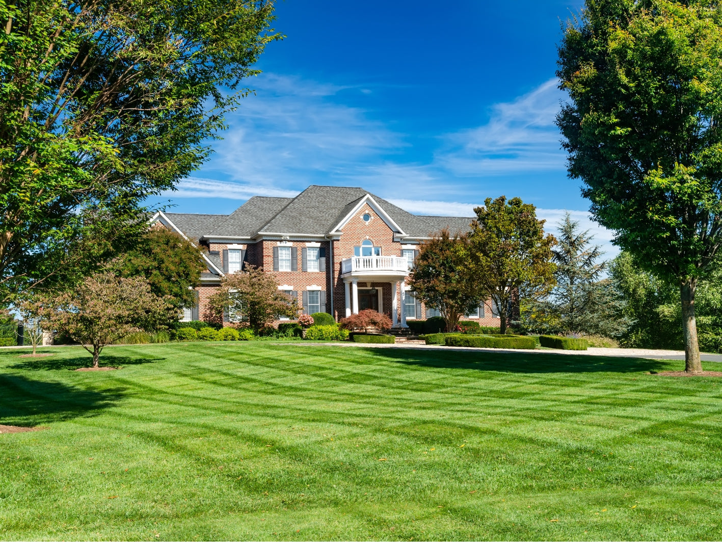 How to Build a Healthier Lawn in Spring: Proven Methods That Work
