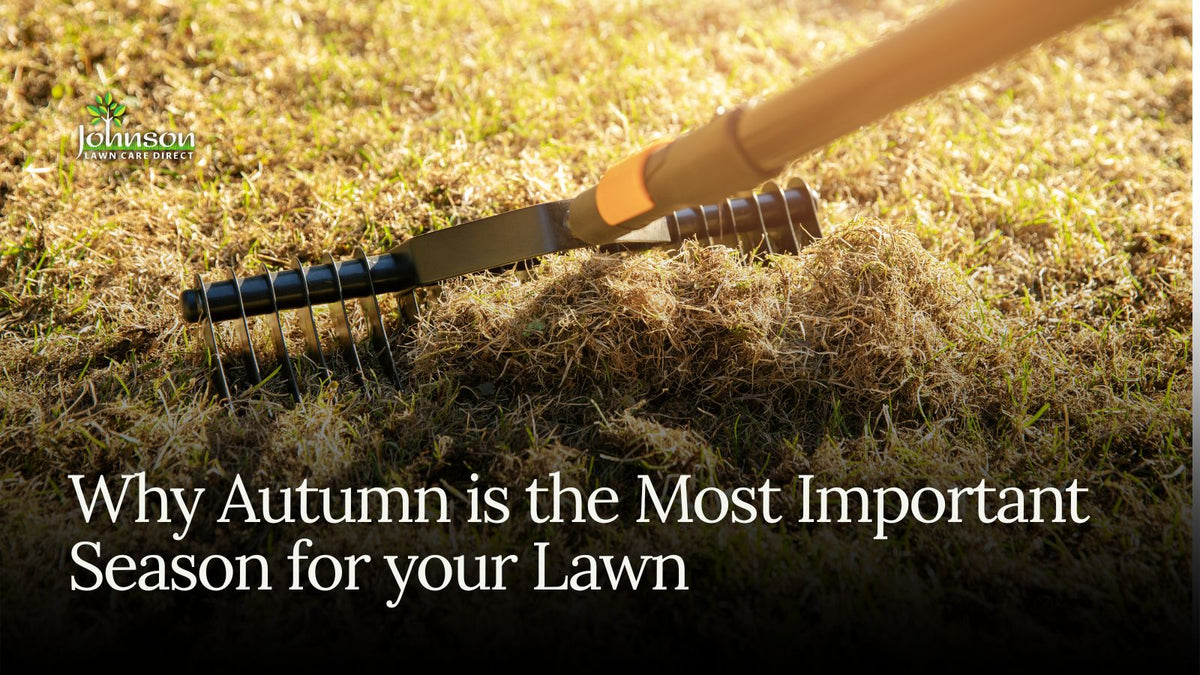 Why Autumn Is the Most Important Season for Your Lawn: Scarify, Overseed, Feed
