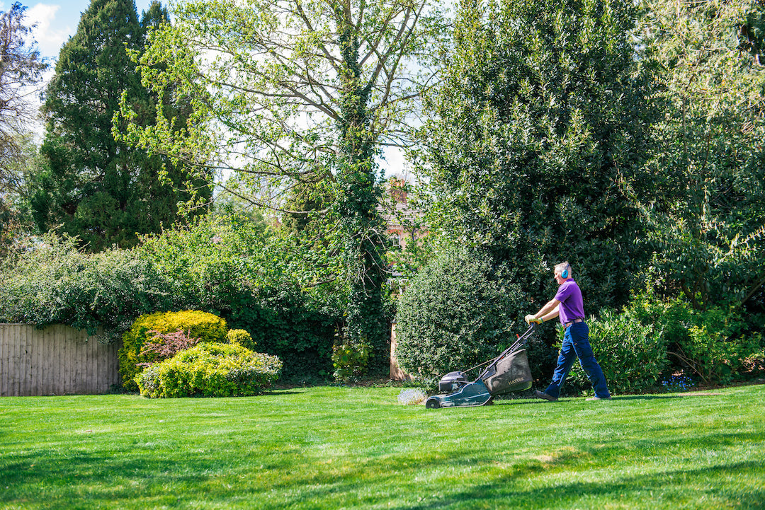 March Lawn Care in the UK: How to Revive Your Lawn After Winter