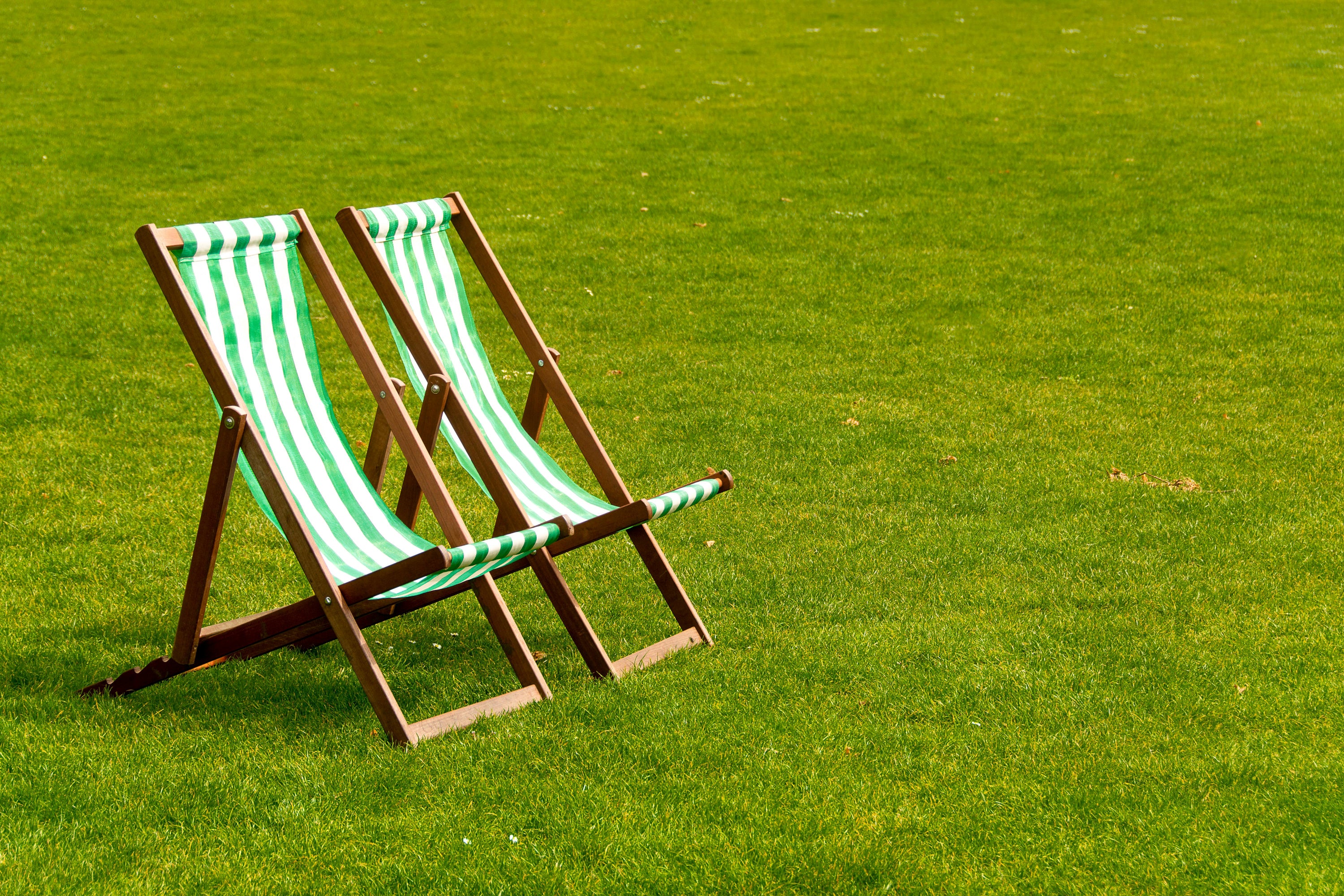 Why Less Is More When It Comes to Summer Lawn Care