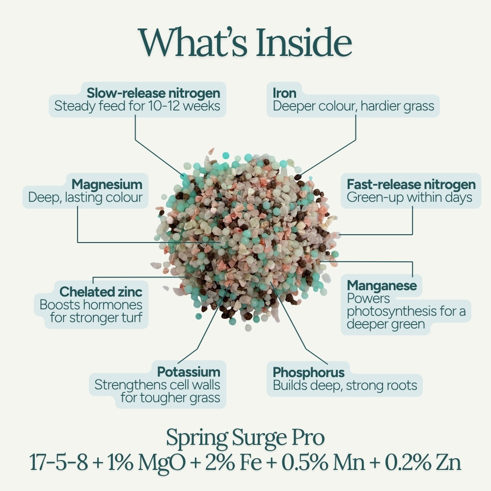 Spring Surge Pro