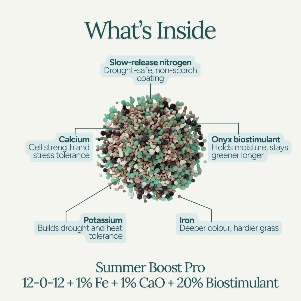 Summer Boost Pro