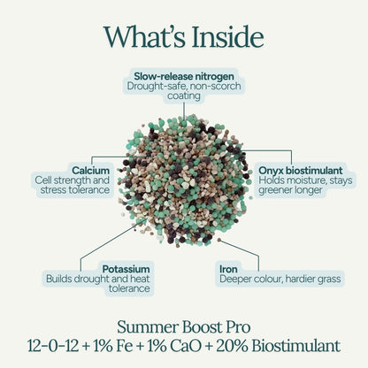Summer Boost Pro