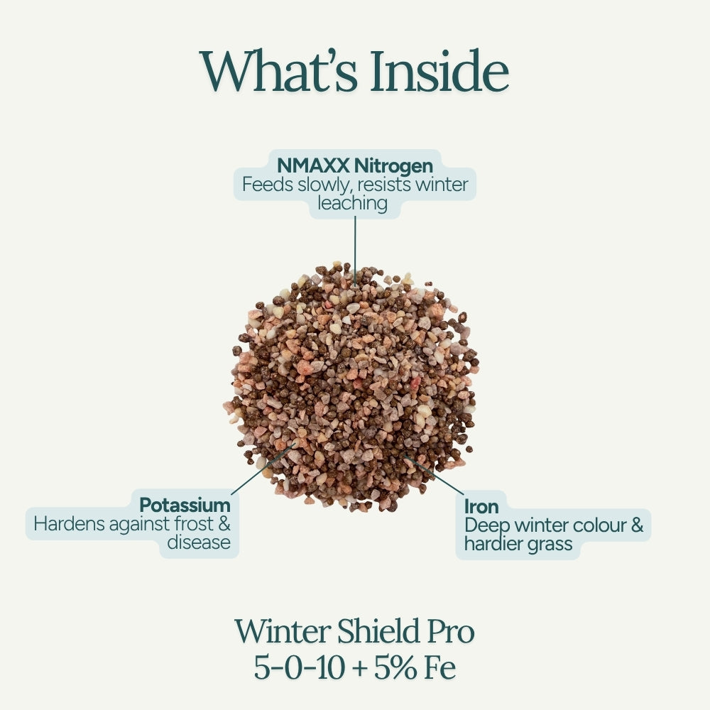 Winter Shield Pro