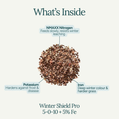 Winter Shield Pro