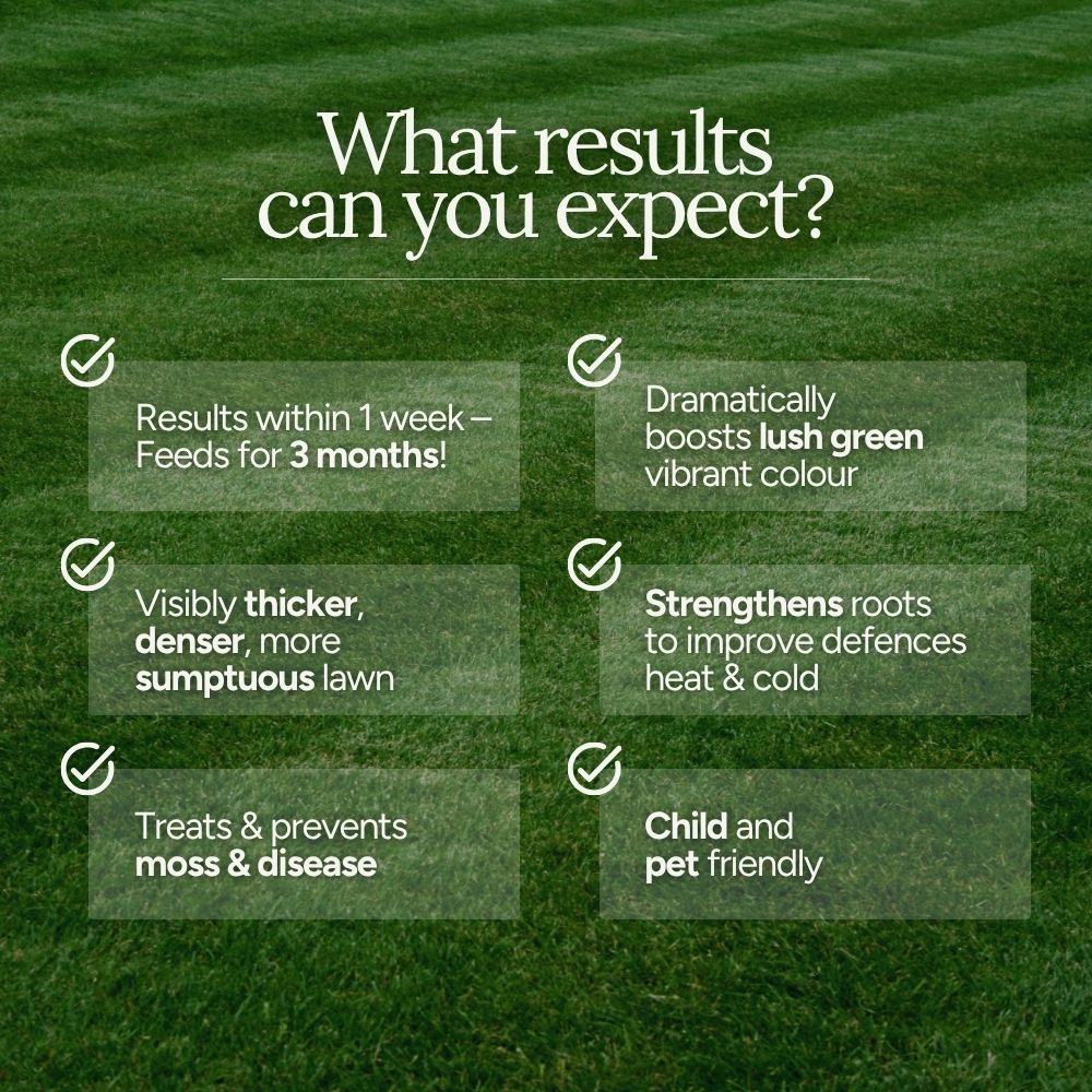 The Lawn Envy System