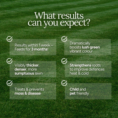 The Lawn Envy System