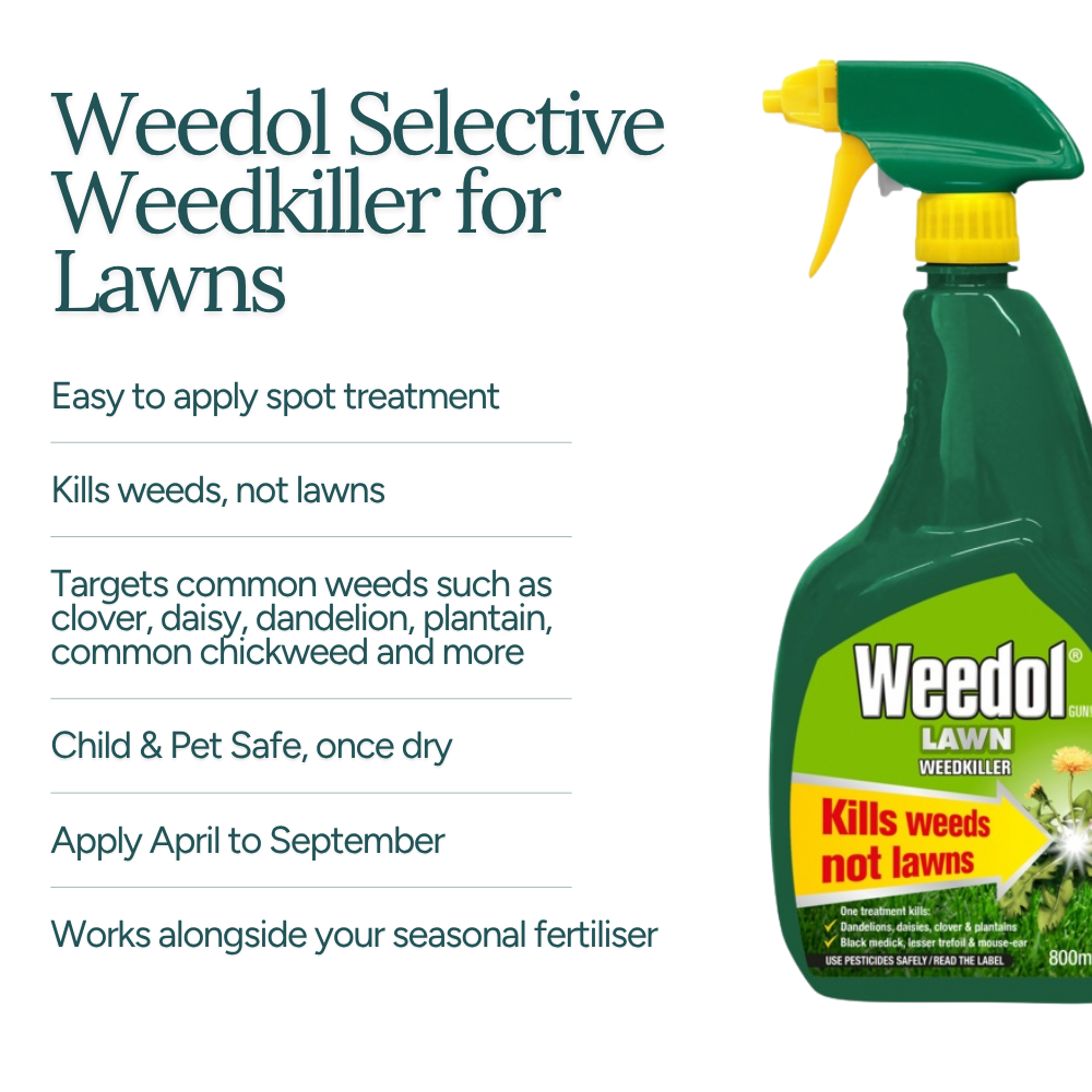 Weedol Selective Lawn Weedkiller - 800ml