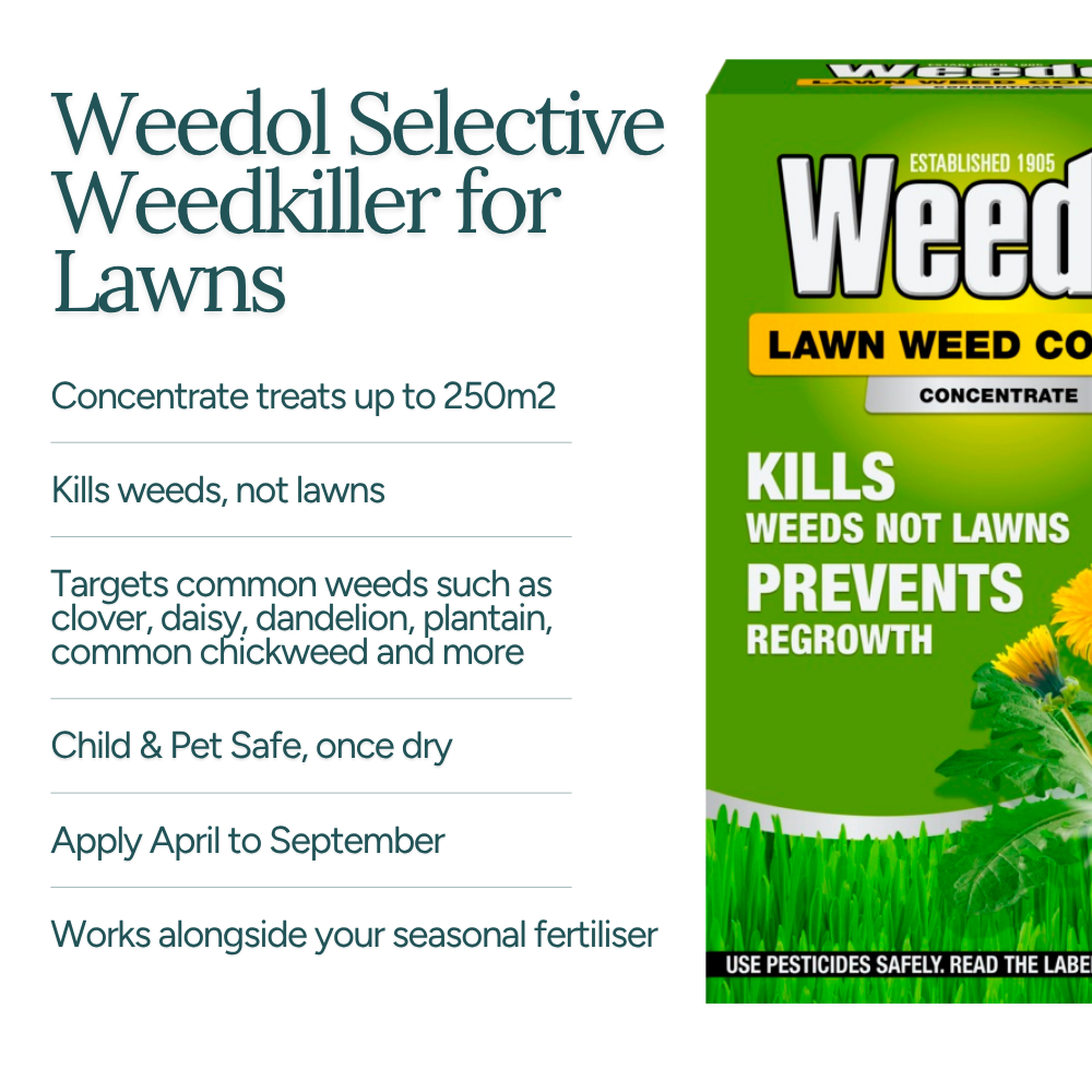 Weedol Lawn Weed Control Concentrate 250m²